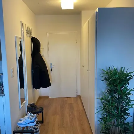 Suncatcher * ベルン