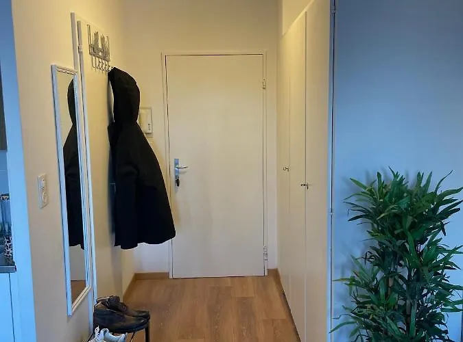 Suncatcher * ベルン